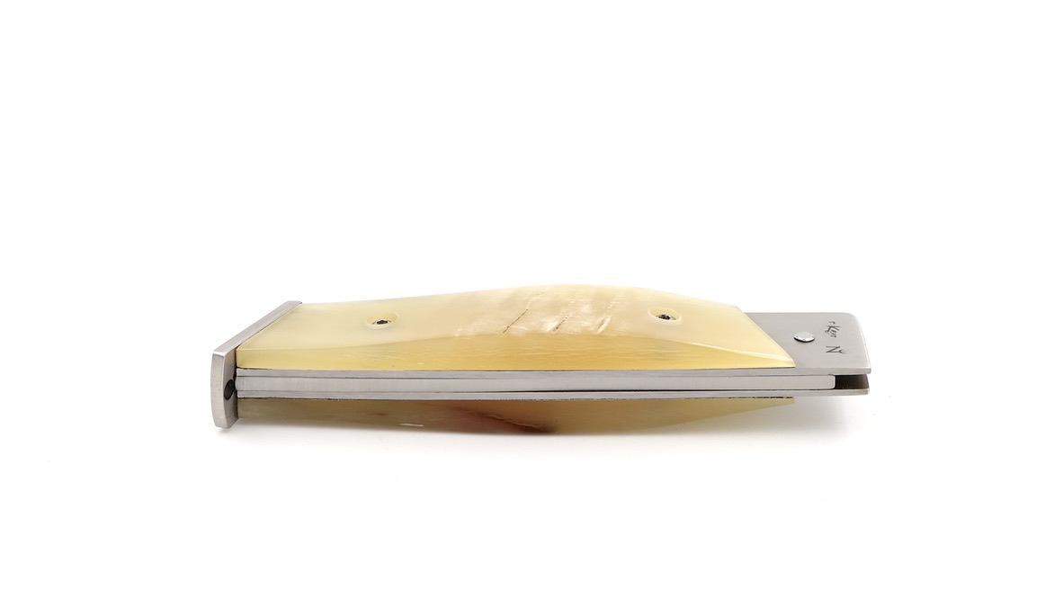 NEPTUNIA DORRY 10 cm Widderkruste