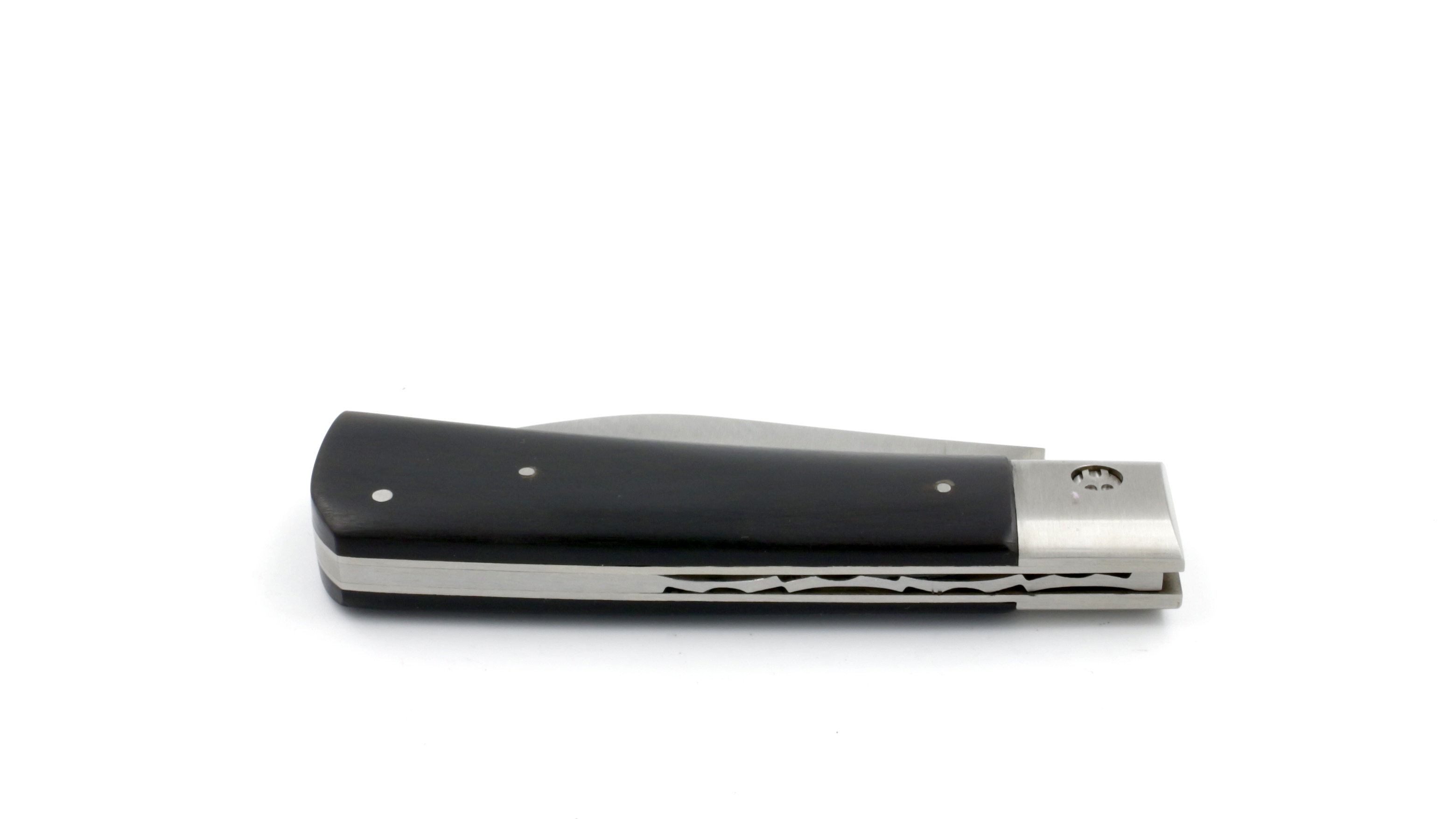 F99B47A2-DA02-4B18-8CAF-2BF958237842_1_201_a Saladini MUGGELANO Büffelhorn matt