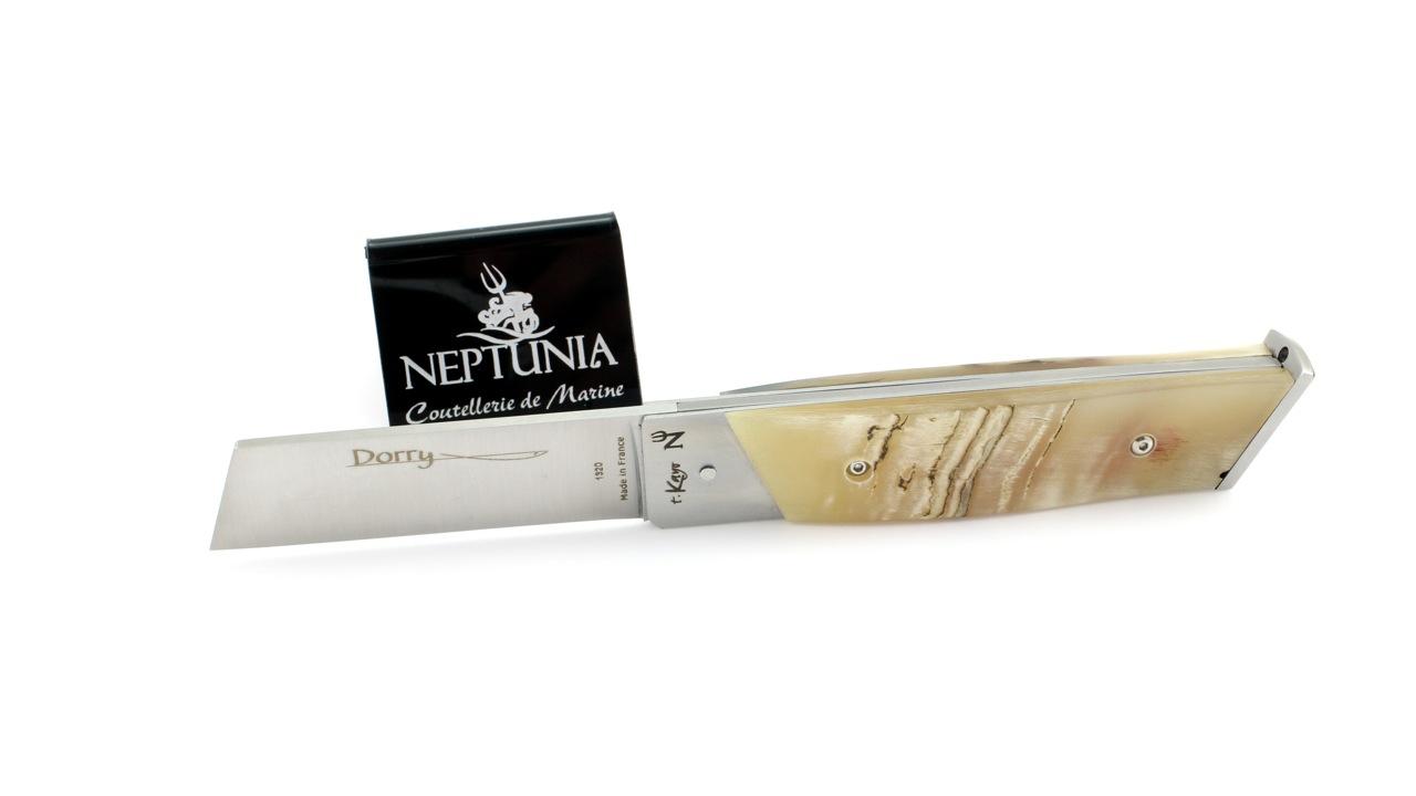 neptunia-dorry-12-cm-widderkruste-1