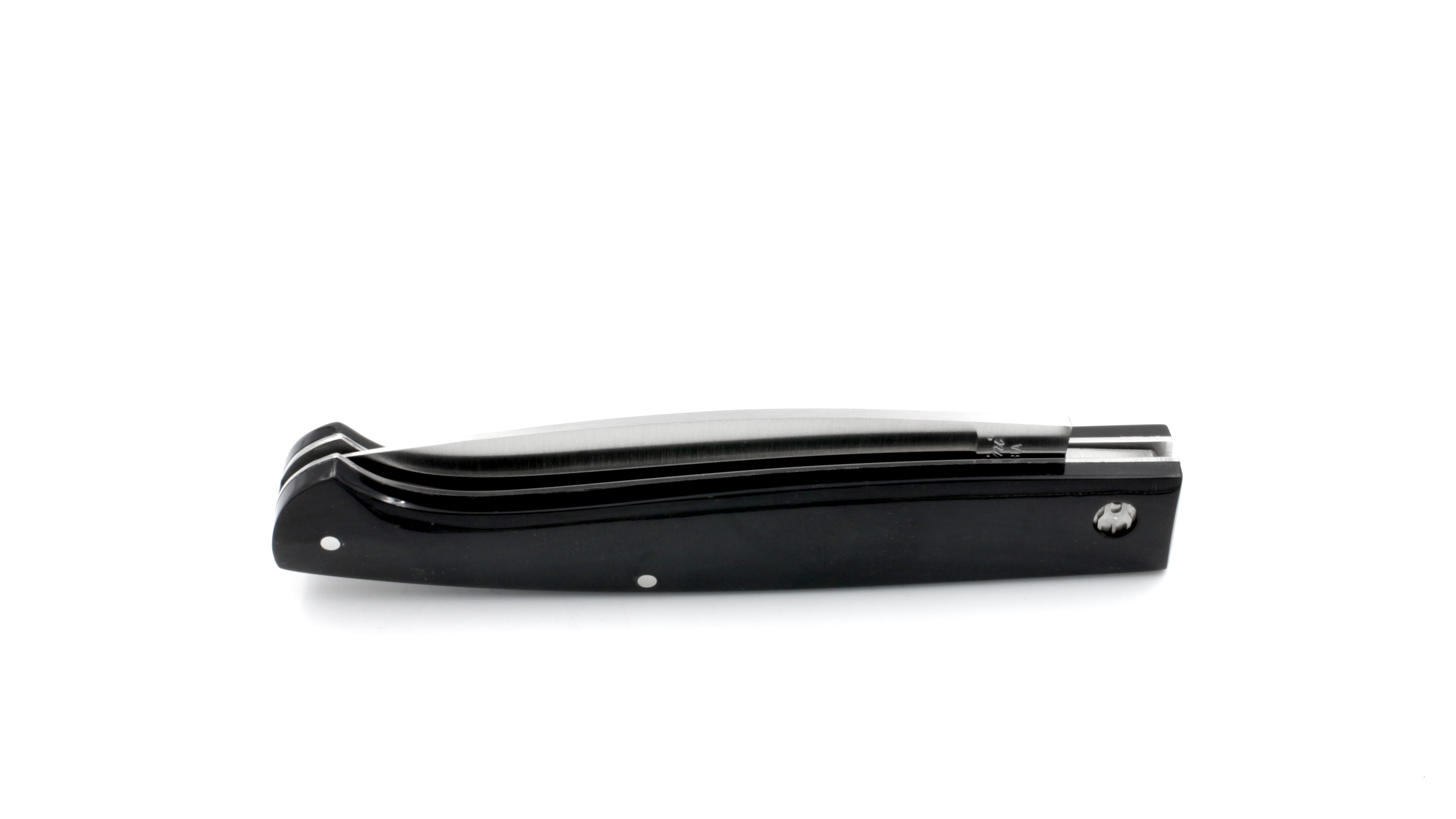 77FADB7E-5089-44B4-8958-7A465F065B5B_1_201_a Saladini PATTADA Büffelhorn