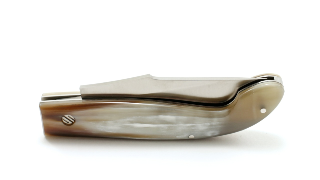 IMG_9589 Saladini SENESE Hornspitze