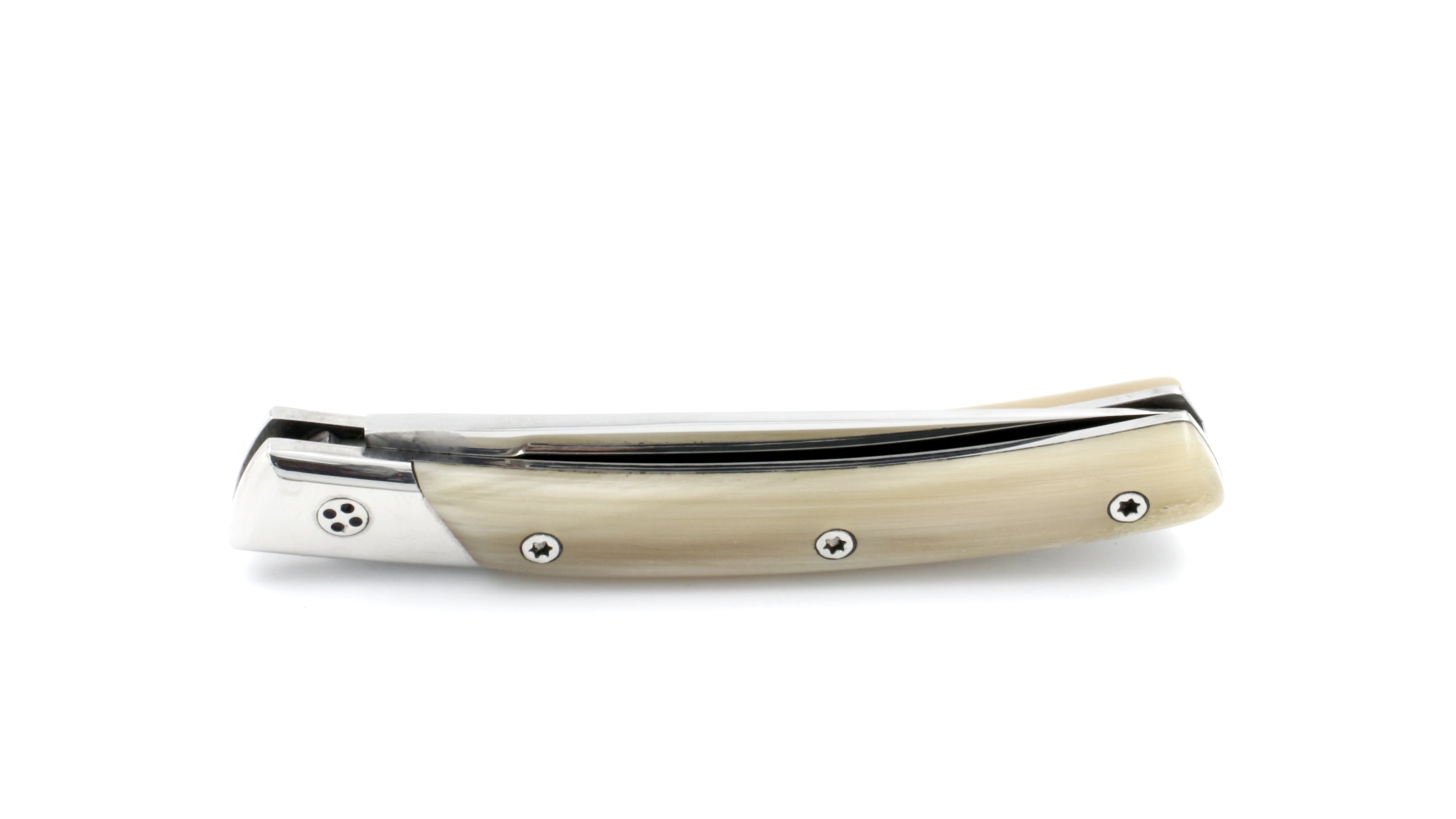 B4AC439E-E64E-4A70-AB85-6F812B288816_1_201_a Claude DOZORME Thiers SECRET horn tip chiseled plates