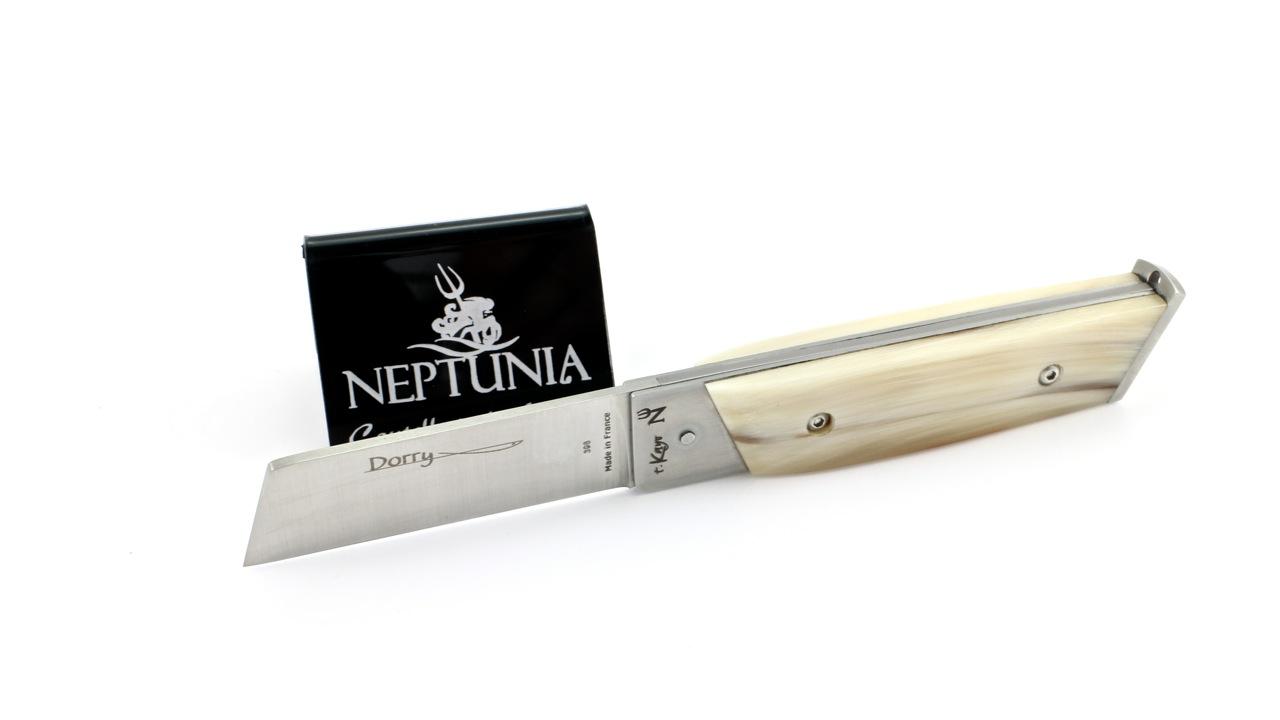 neptunia-dorry-10-cm-hornspitze-1  NEPTUNIA DORRY 10 cm Hornspitze