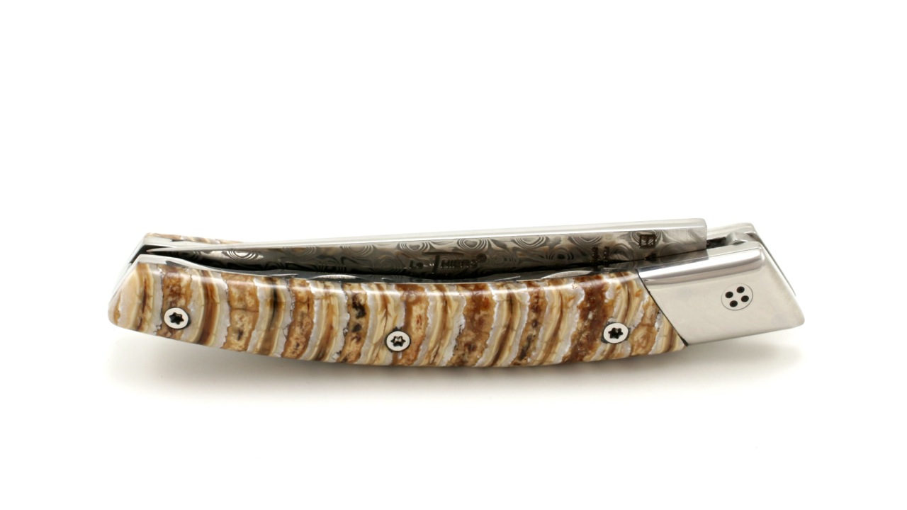 RLT-DA-Mammut-natur Claude Dozorme Thiers RLT L'ATELIER mammoth damascus blade