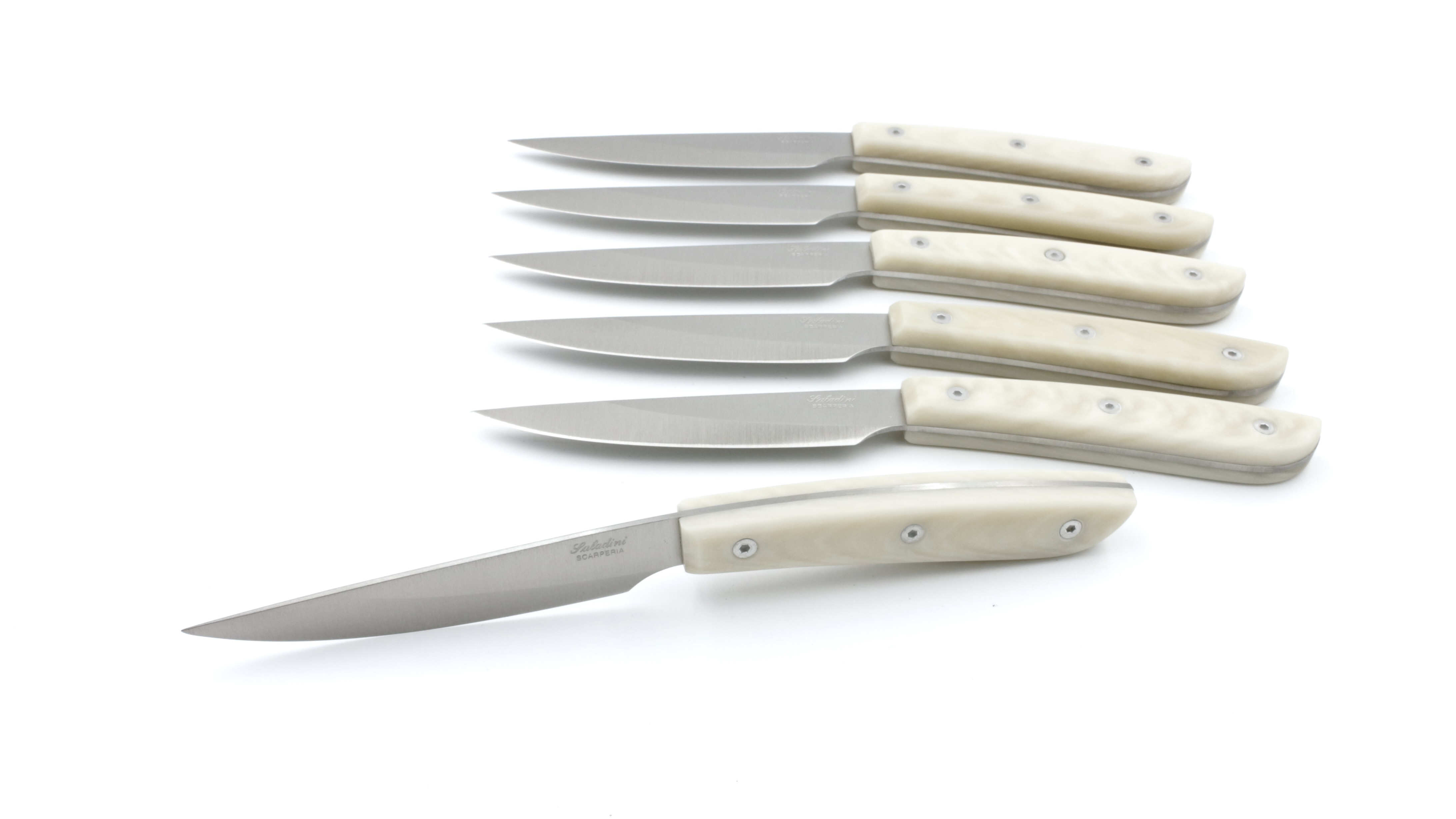 Saladini Steakmesser-Set 6-tlg. Sliced Resin weiss