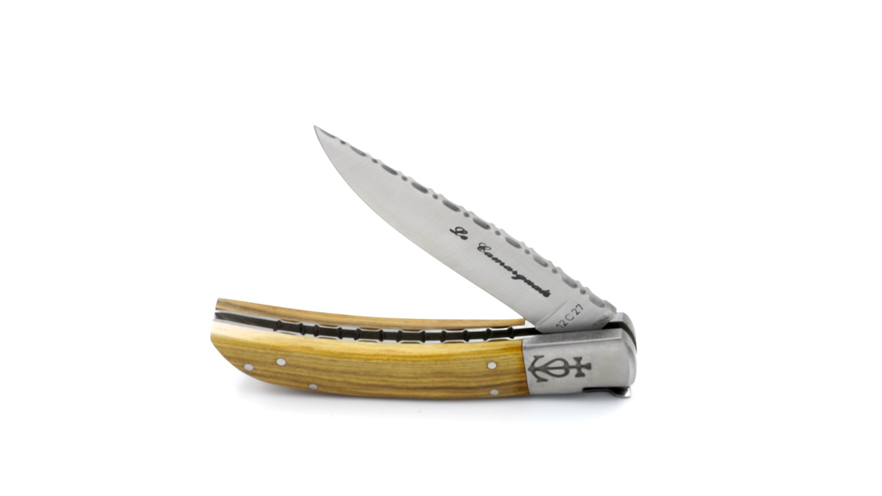 Le Camarguais knife pistachio with chiseled plates and blade 10 cm