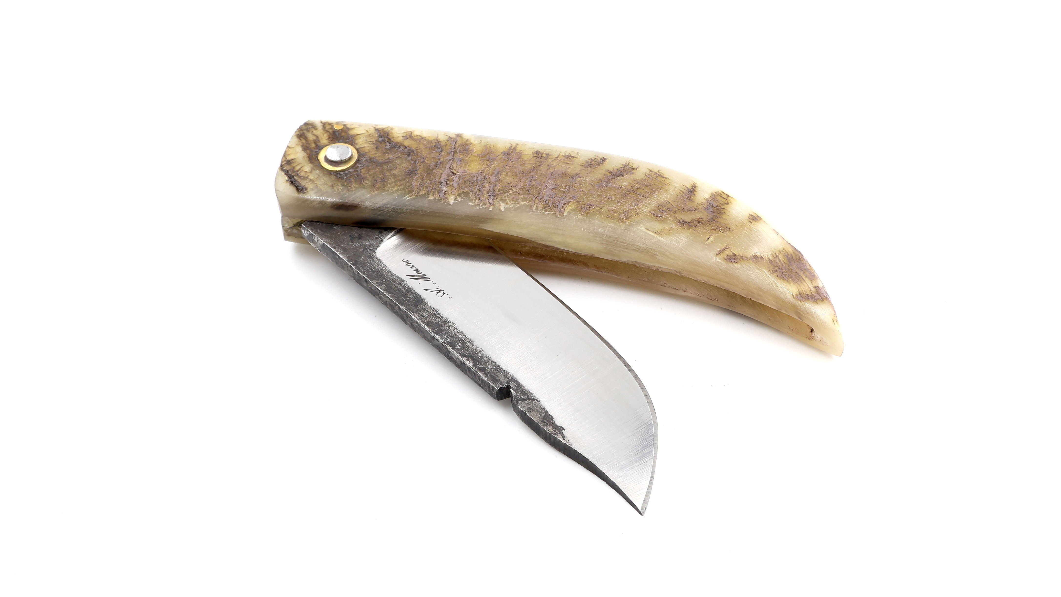 Alexandre Musso Cornicciolu big ram horn 