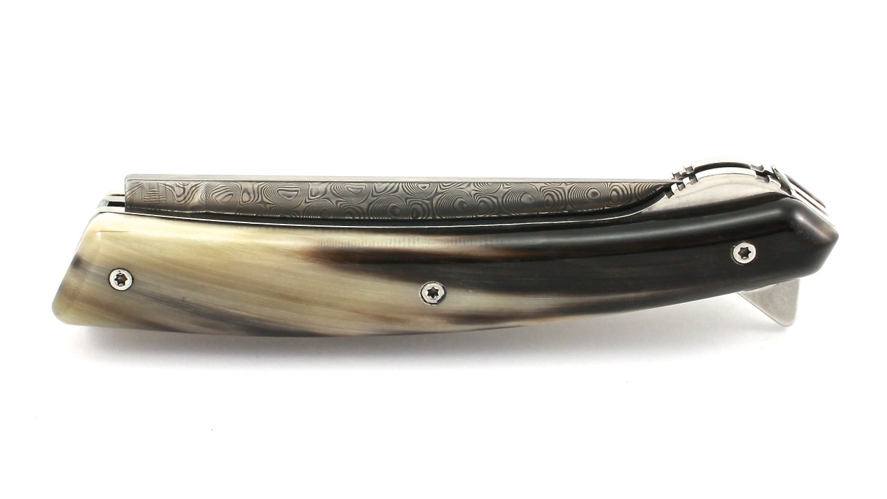 IMG_9219 Claude DOZORME Thiers VERROU Damast Hornspitze