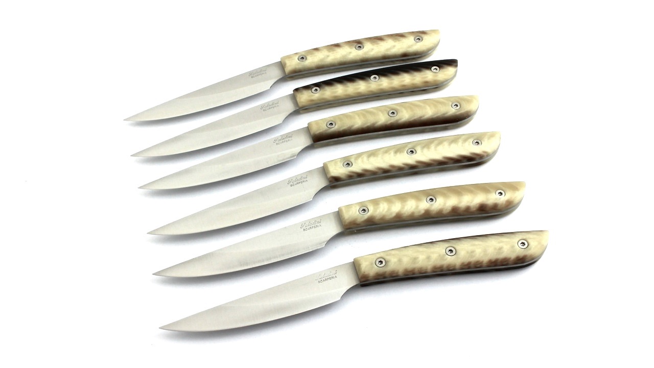 Saladini Steakmesser-Set 6-tlg. Sliced Resin