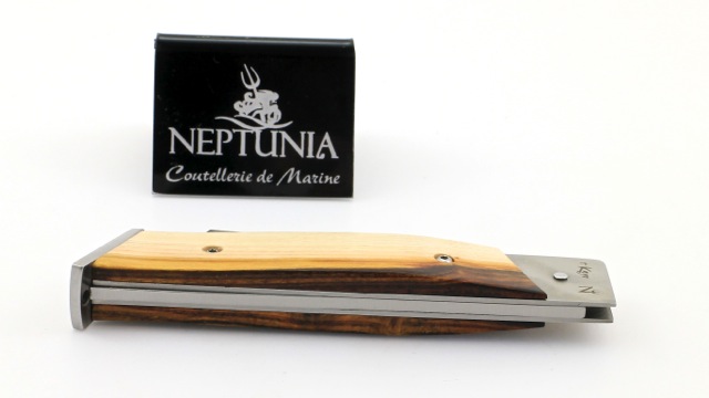 DORRY-12-cm-Pistazie NEPTUNIA DORRY 12 cm Pistazie