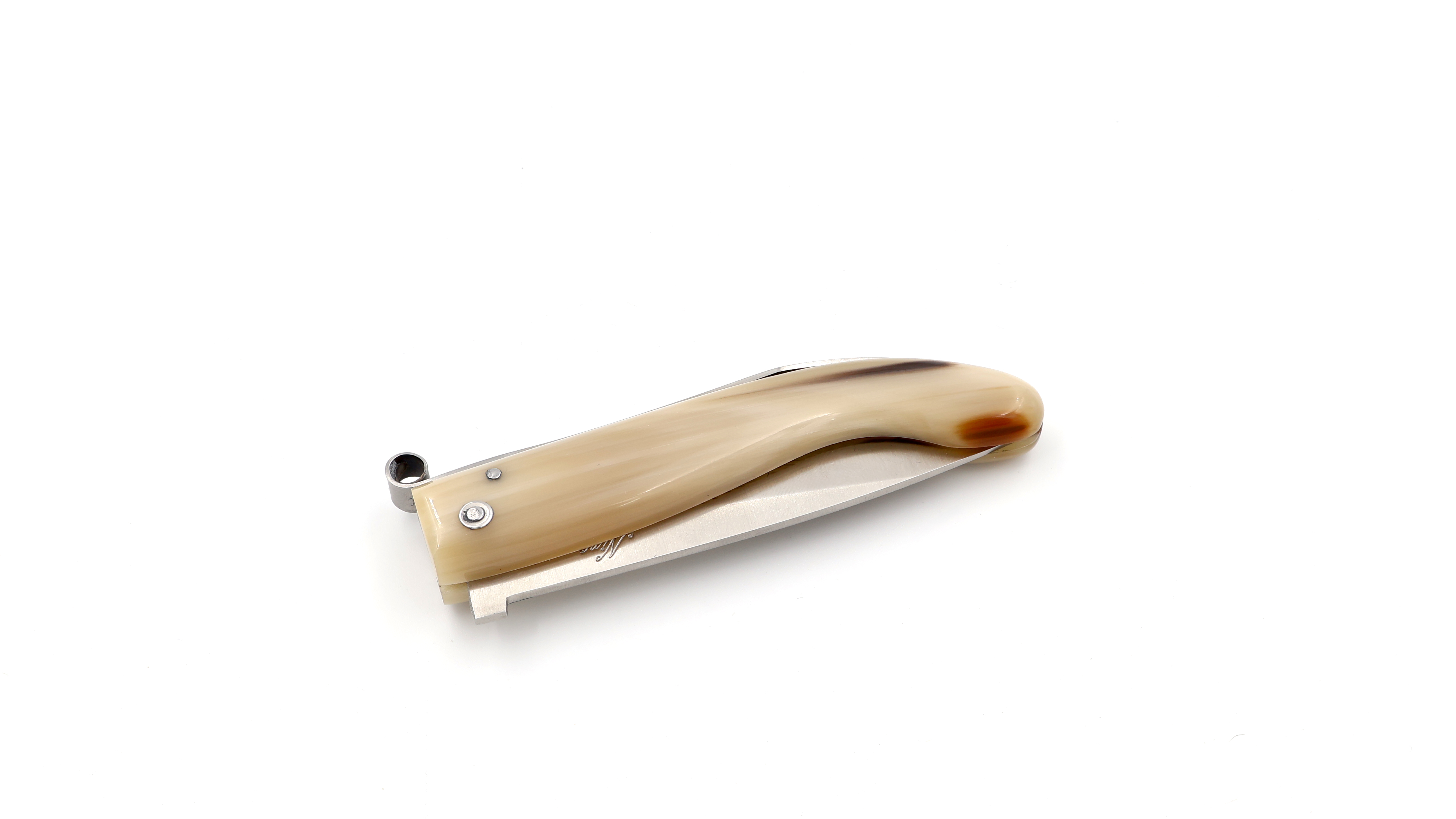 Nino Nista Saracca Romagnola Hornspitze 20 cm
