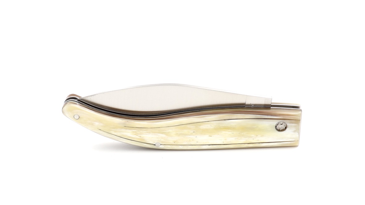 Saladini knife MAREMMANO A FOGLIA horn tip