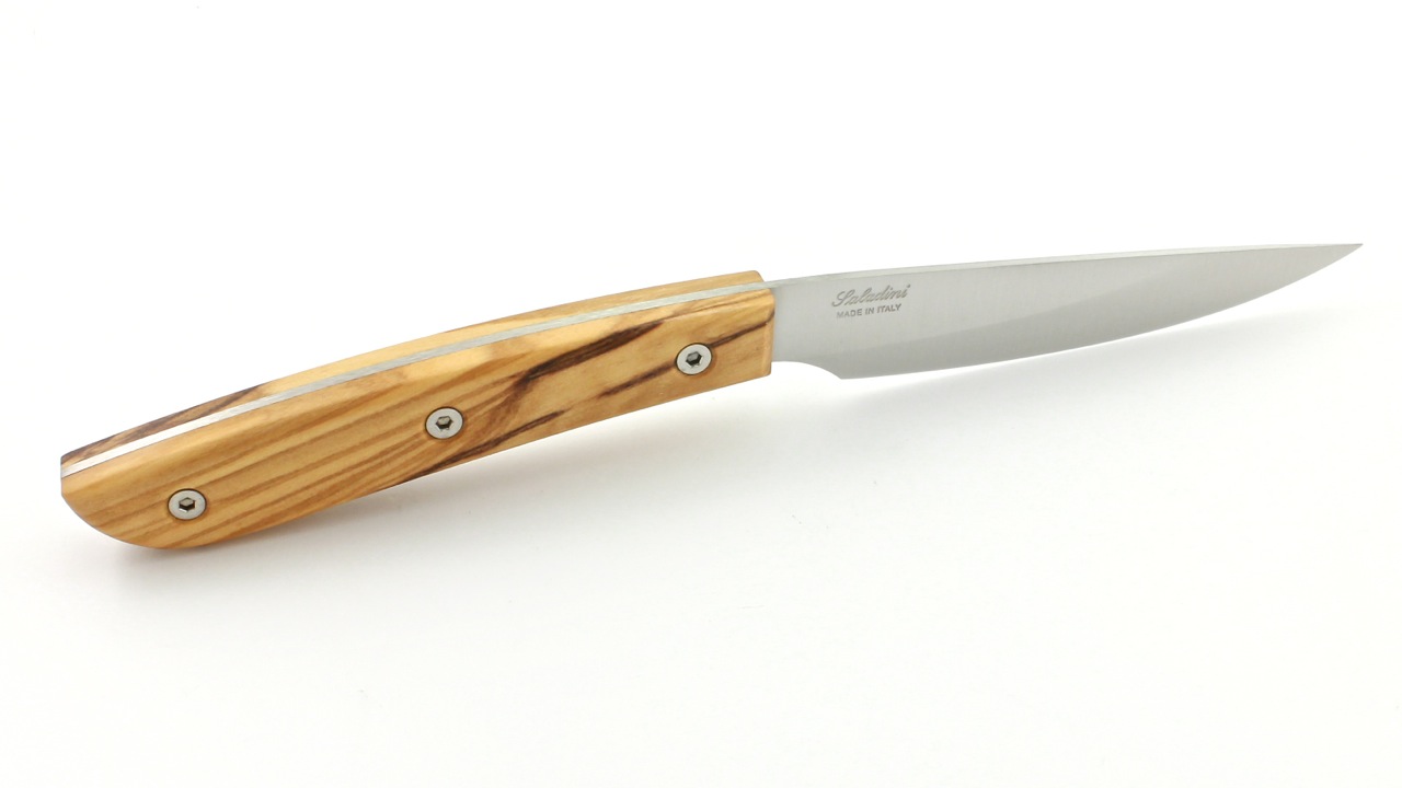 Saladini Steakmesser-Set 6-tlg. Sliced Olive