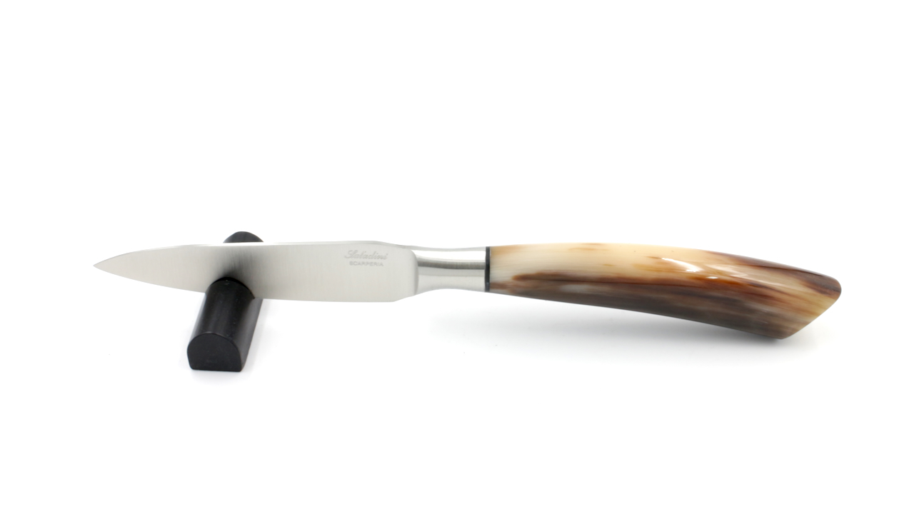 4016C Saladini Office Messer Hornspitze 10 cm