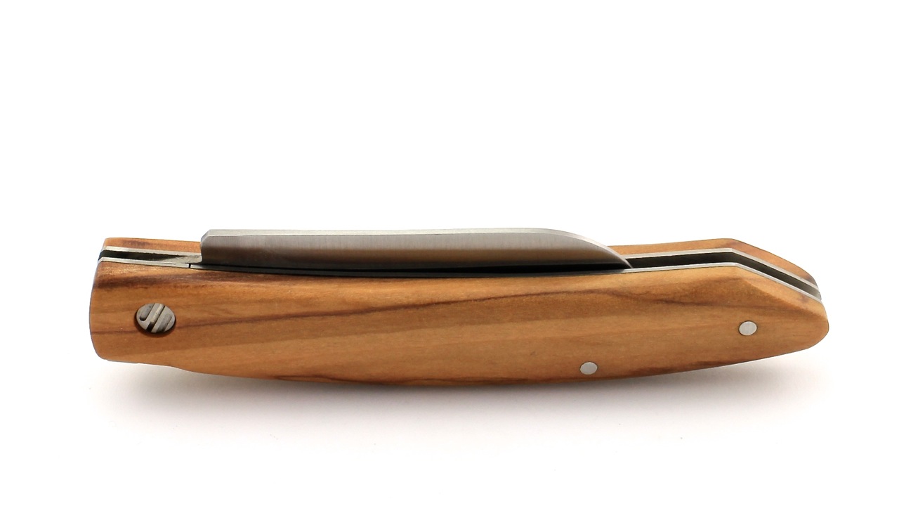 IMG_80006jBrTjK2W1Lgr Saladini FUNGHI Pilzmesser Olive