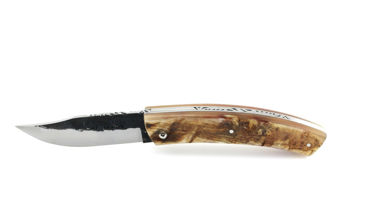 Baribal-bdf-widder-29sZ3ztTRkC9fn Au Sabot Baribal Widderhorn