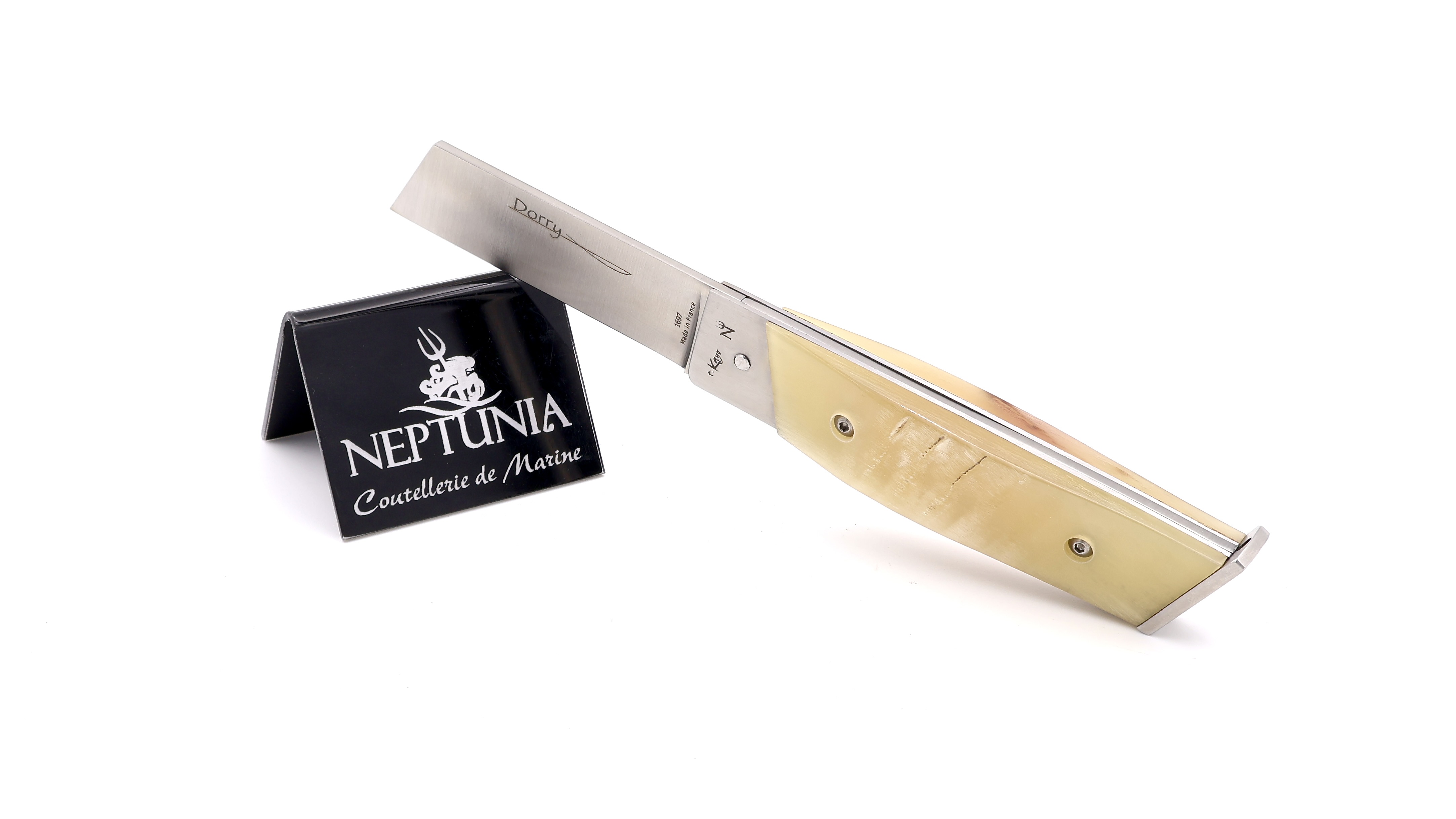 NEPTUNIA DORRY 10 cm Widderkruste