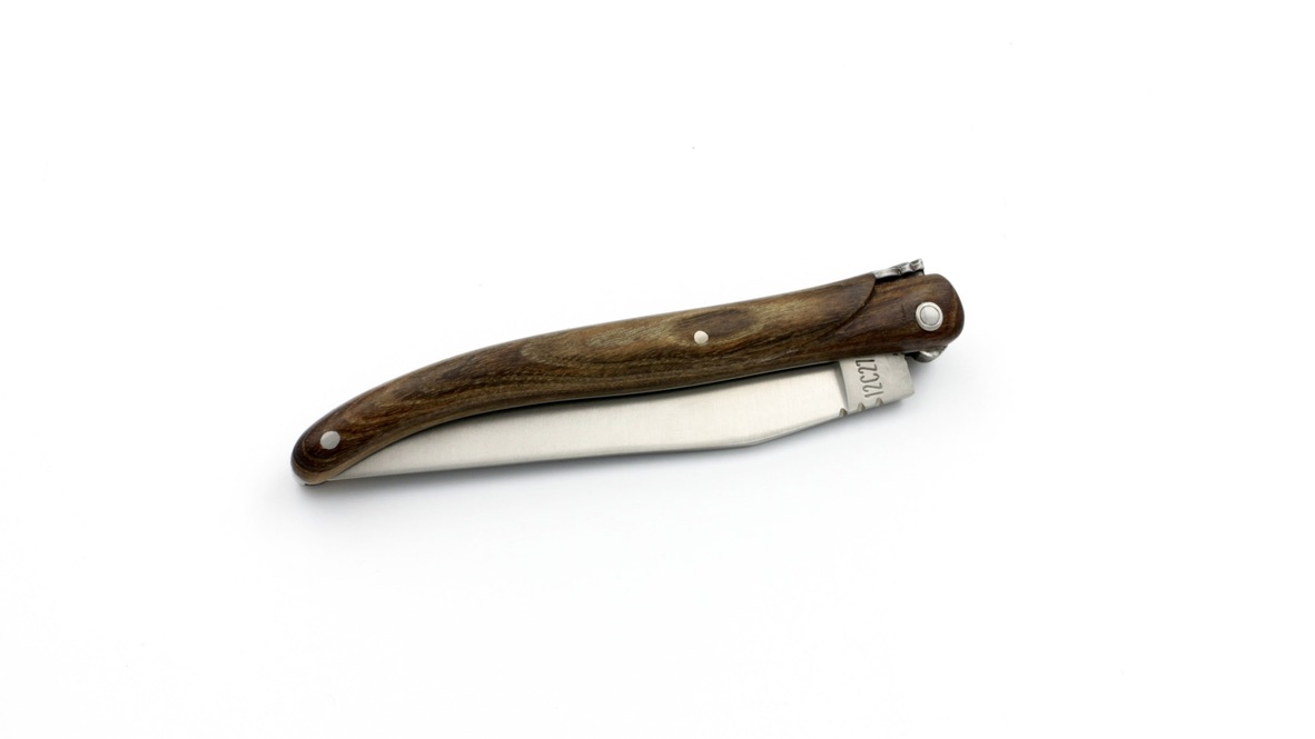 Laguiole en Aubrac pistacchio full handle 10 cm