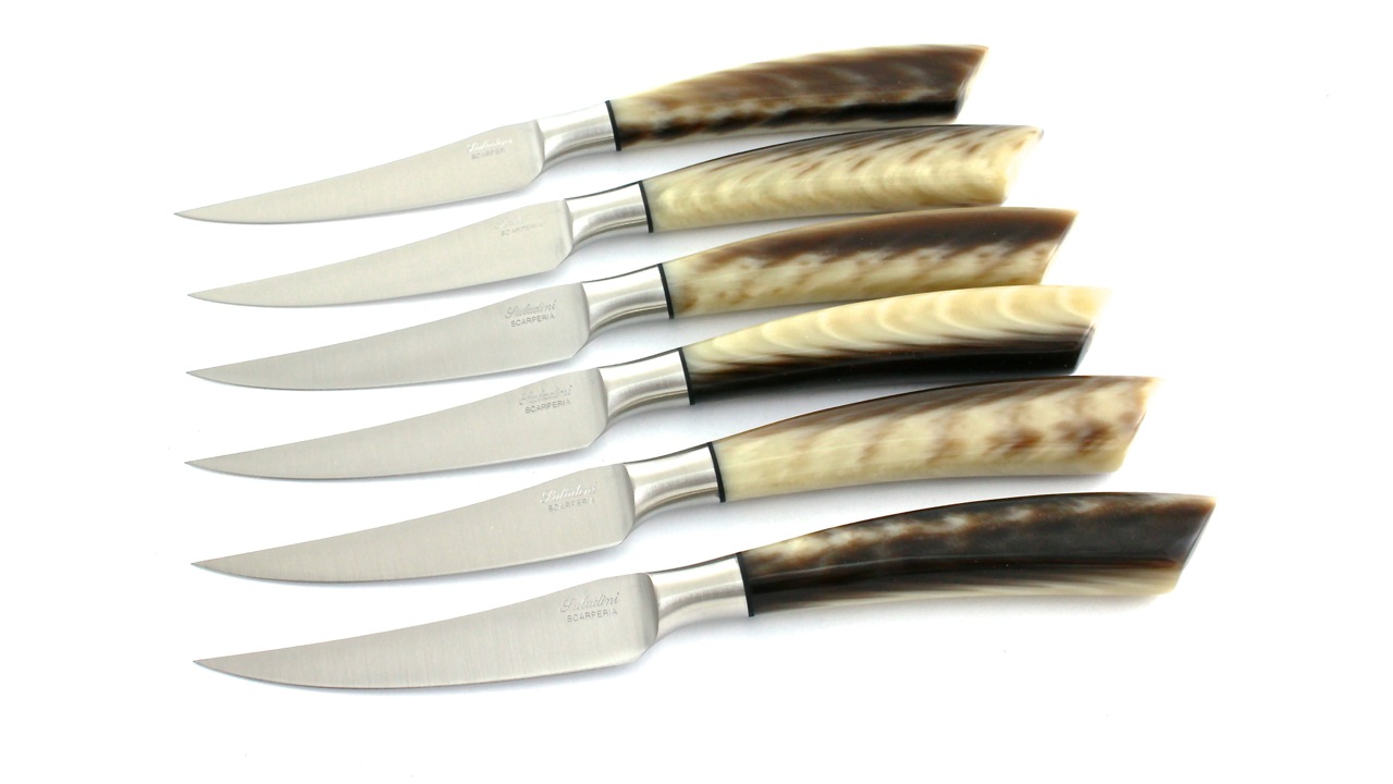 Saladini-Resin-6tlg Saladini steakknives resin scales set of 6