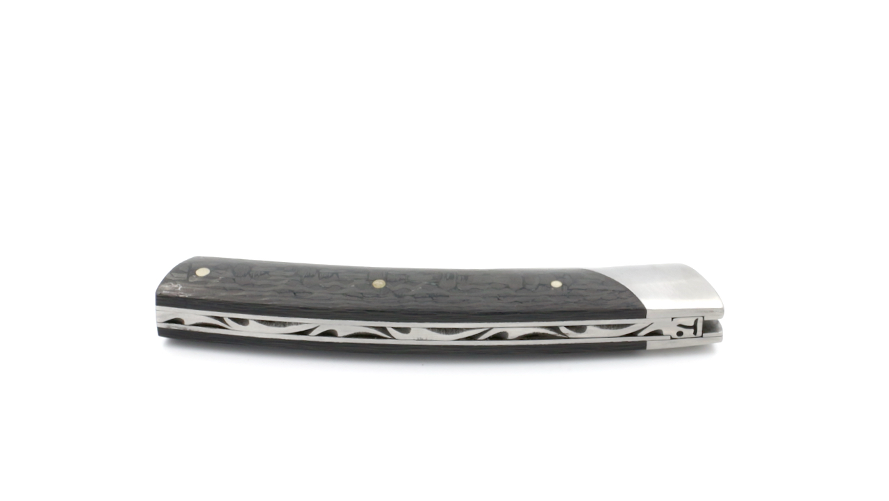 IMG_5282 Chambriard Thiers COMPACT Carbon