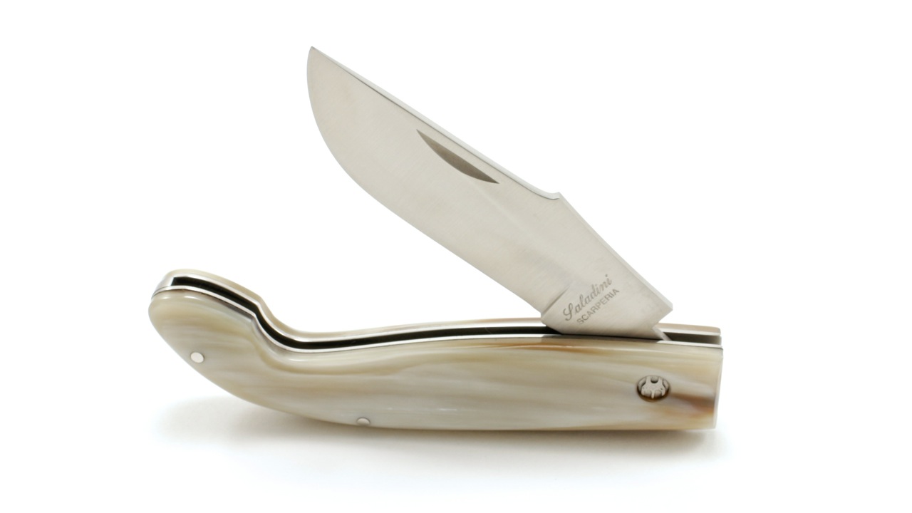 IMG_9590 Saladini SENESE Hornspitze