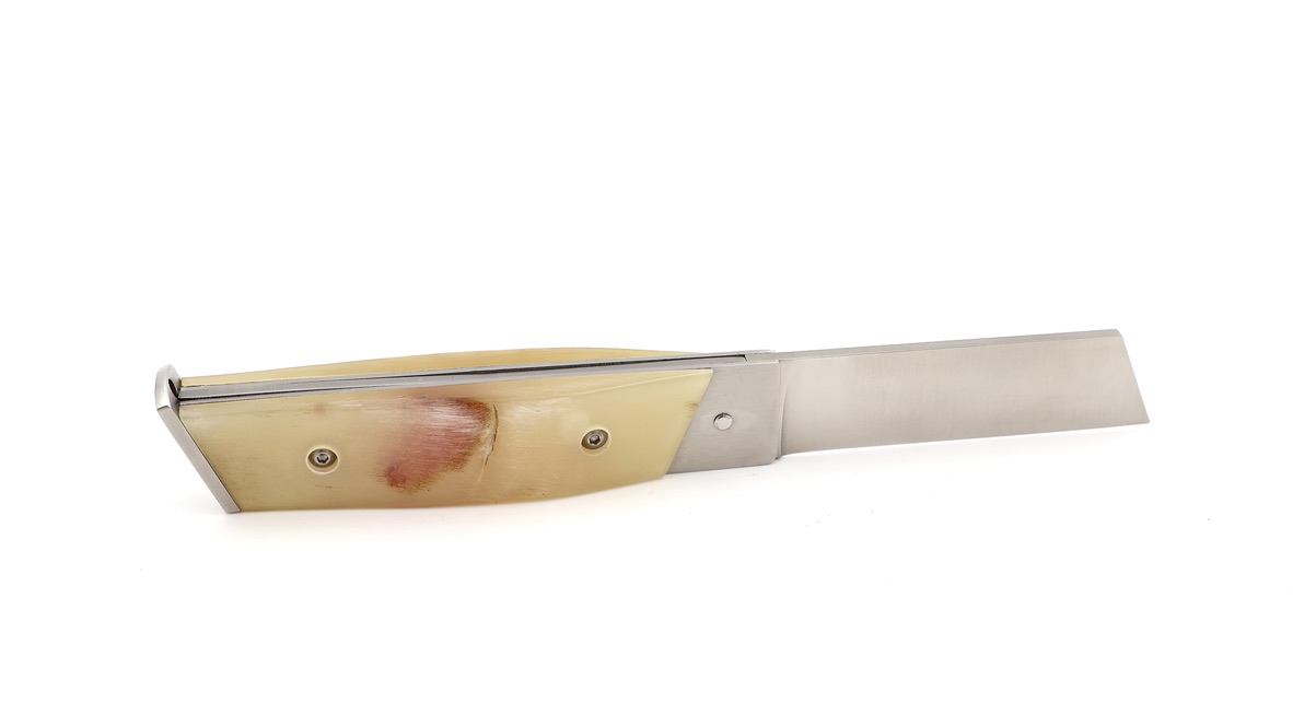 NEPTUNIA DORRY 10 cm Widderkruste