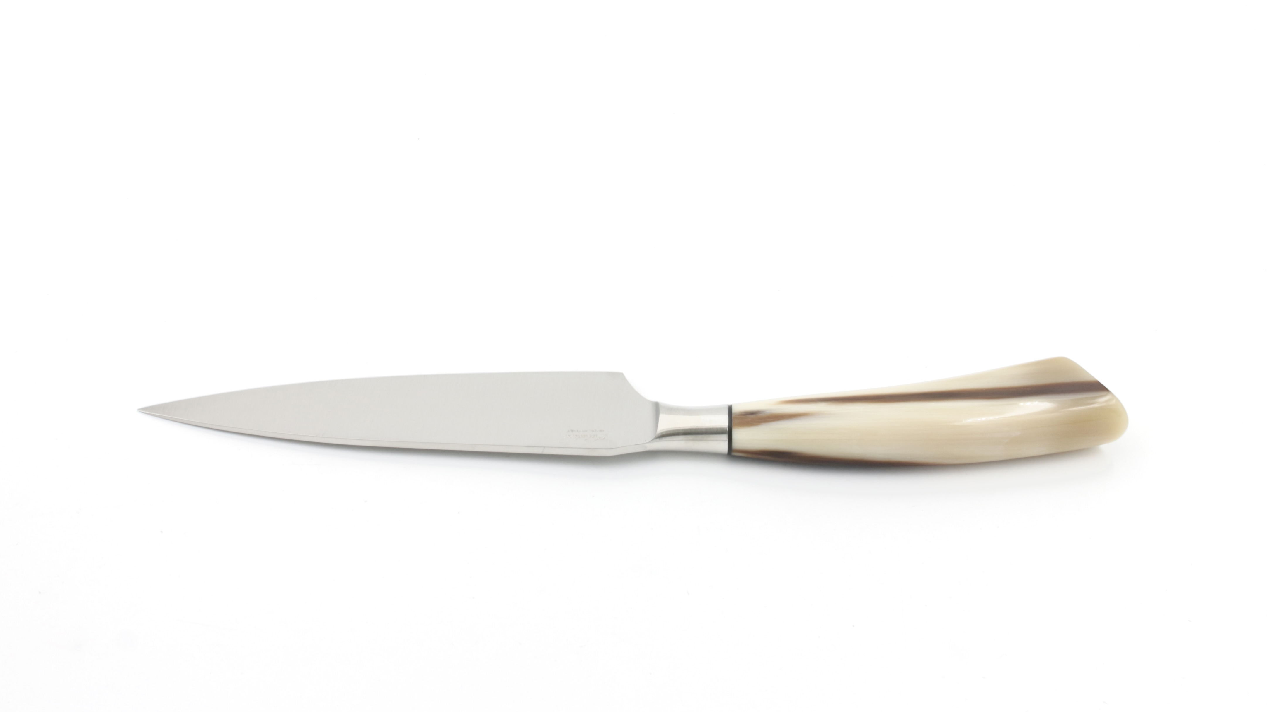 Saladini small chef knife shiny horntip 30 cm