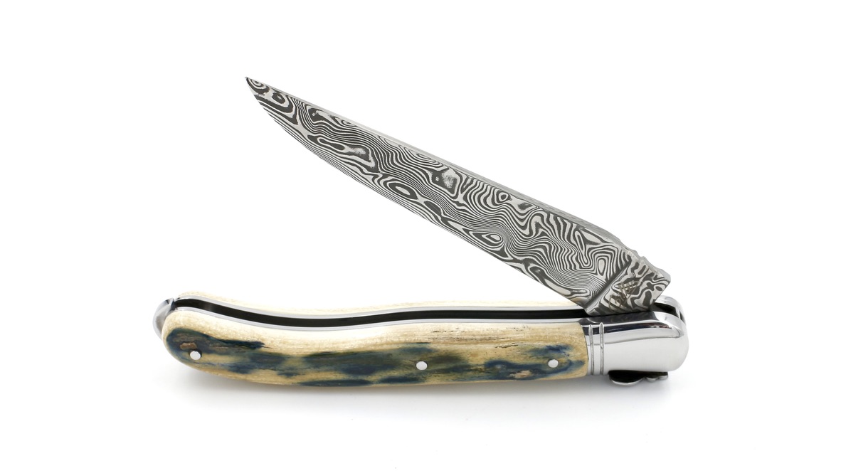 4600D15E-1AD0-4C69-AC91-CB248A1E4E25_1_105_c Fontenille Pataud Laguiole NATURE Exception blue mammoth ivory damascus blade 12 cm