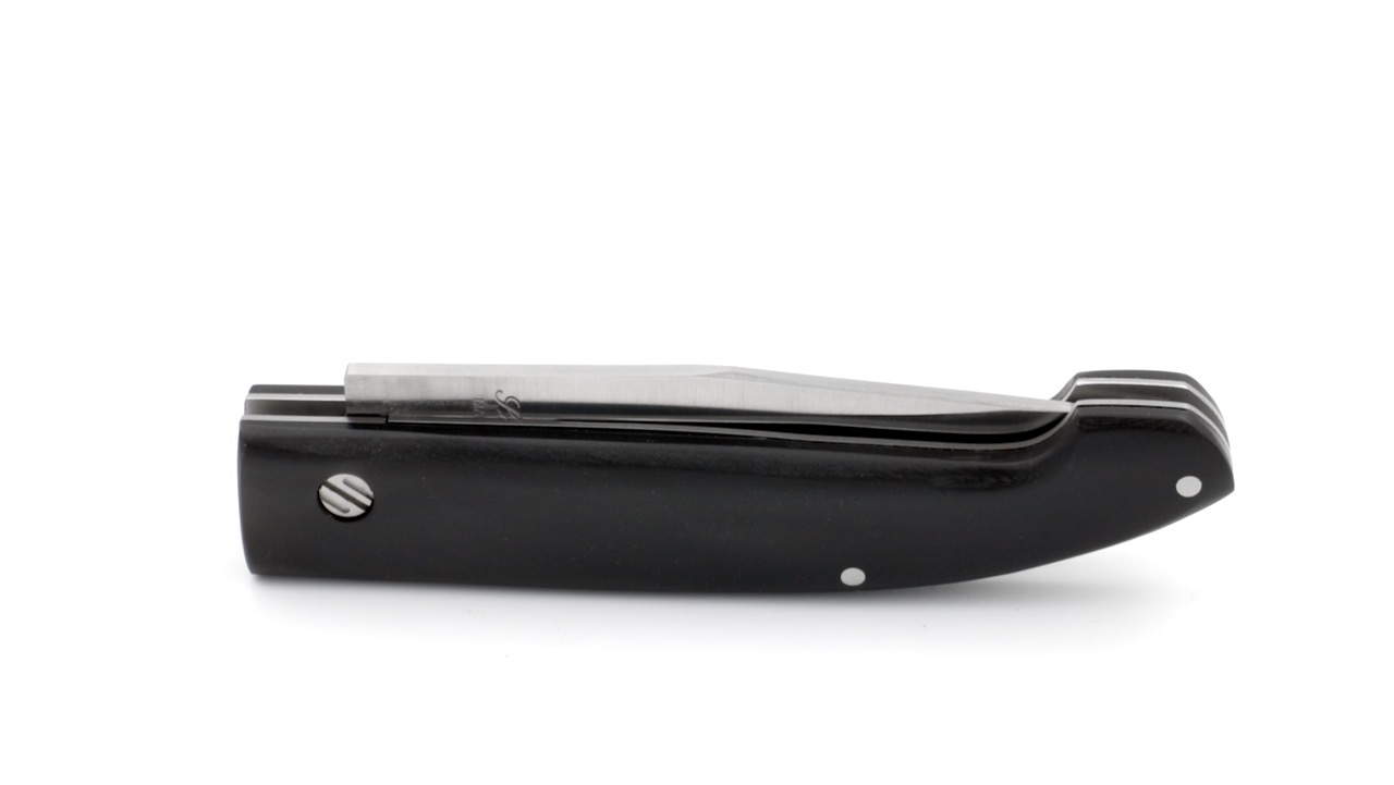 IMG_1879 Saladini ZUAVA NEXT Büffelhorn