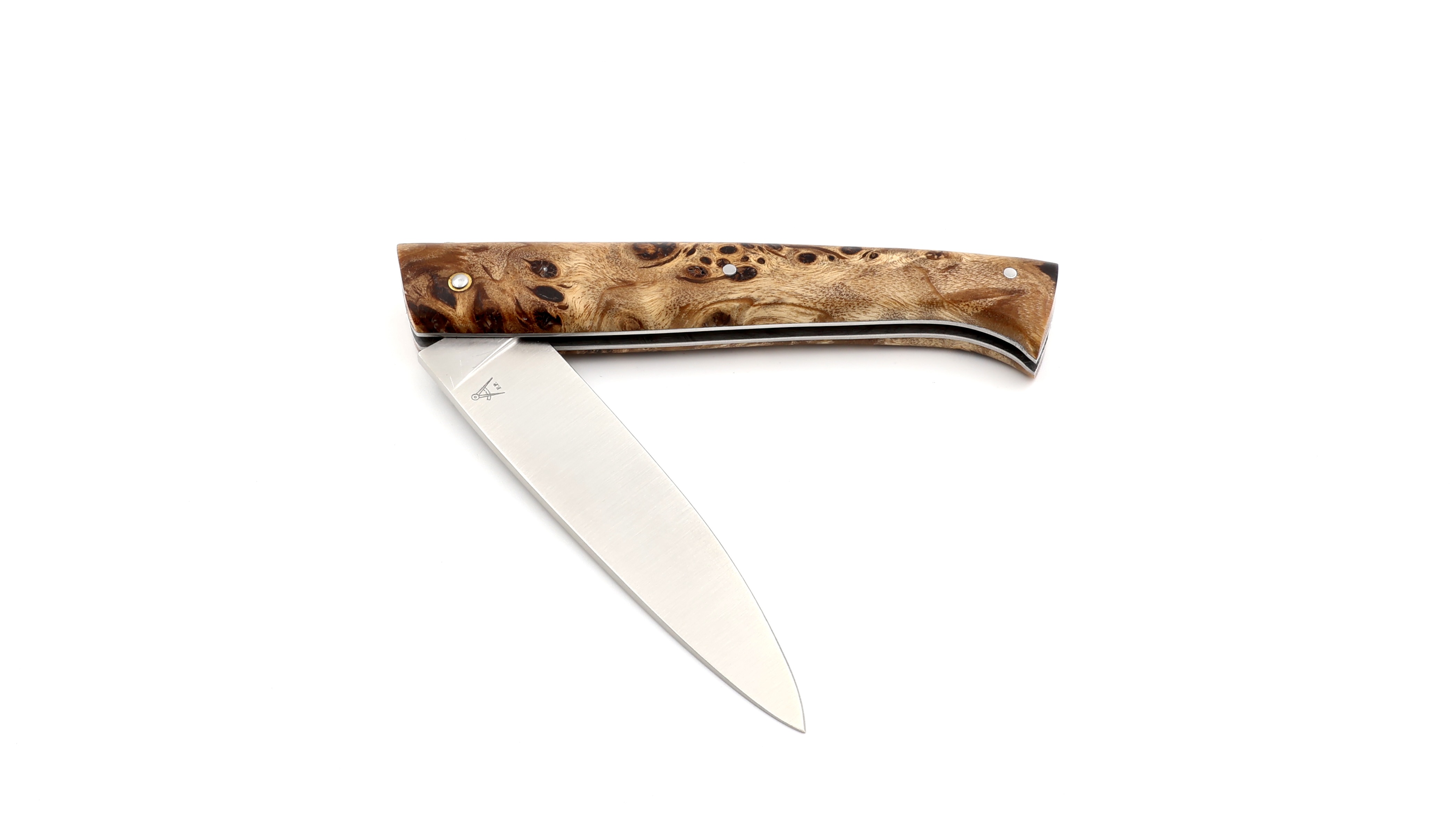 Fontenille Pataud LE LOMBARD Pappel Wurzelholz    Fontenille Pataud LE LOMBARD Pappel Wurzelholz