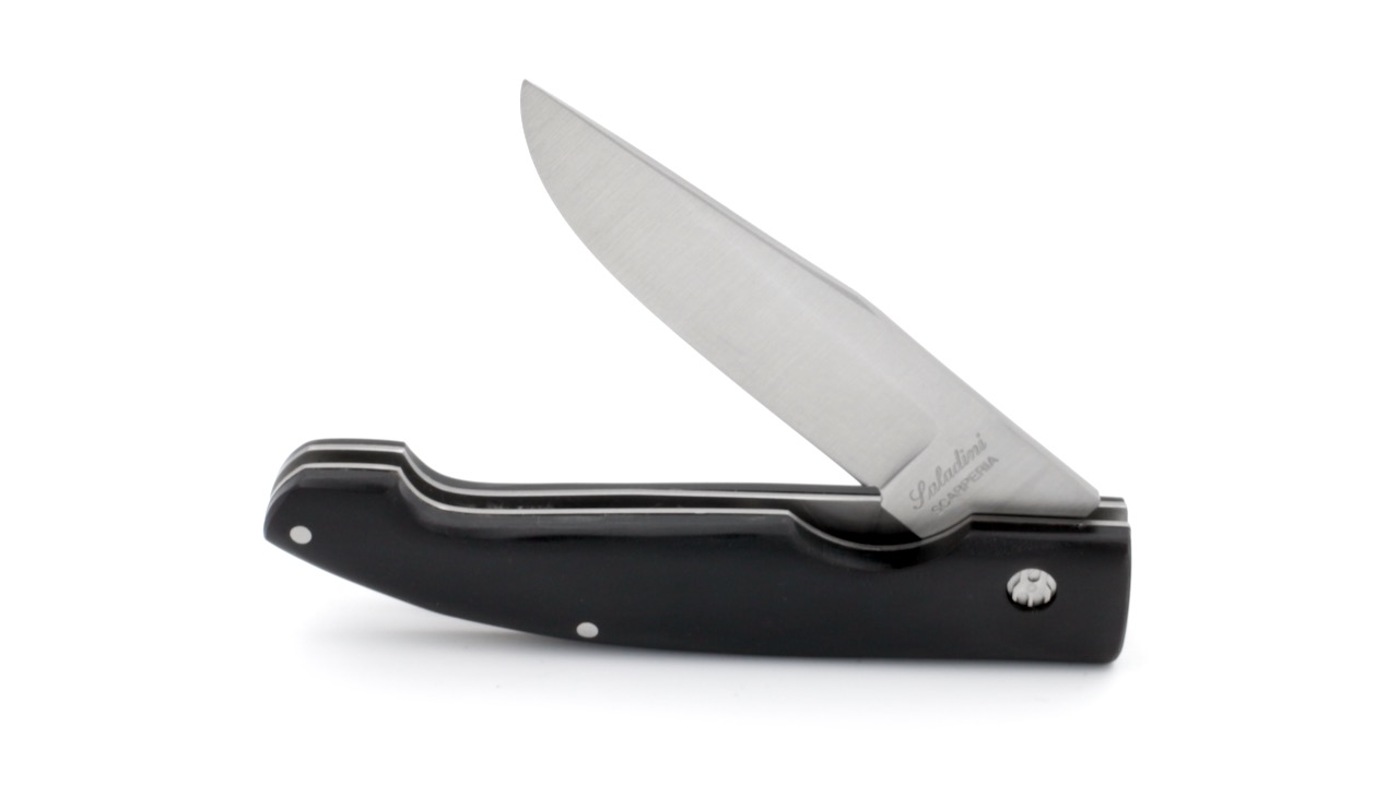 IMG_1876 Saladini ZUAVA NEXT Büffelhorn