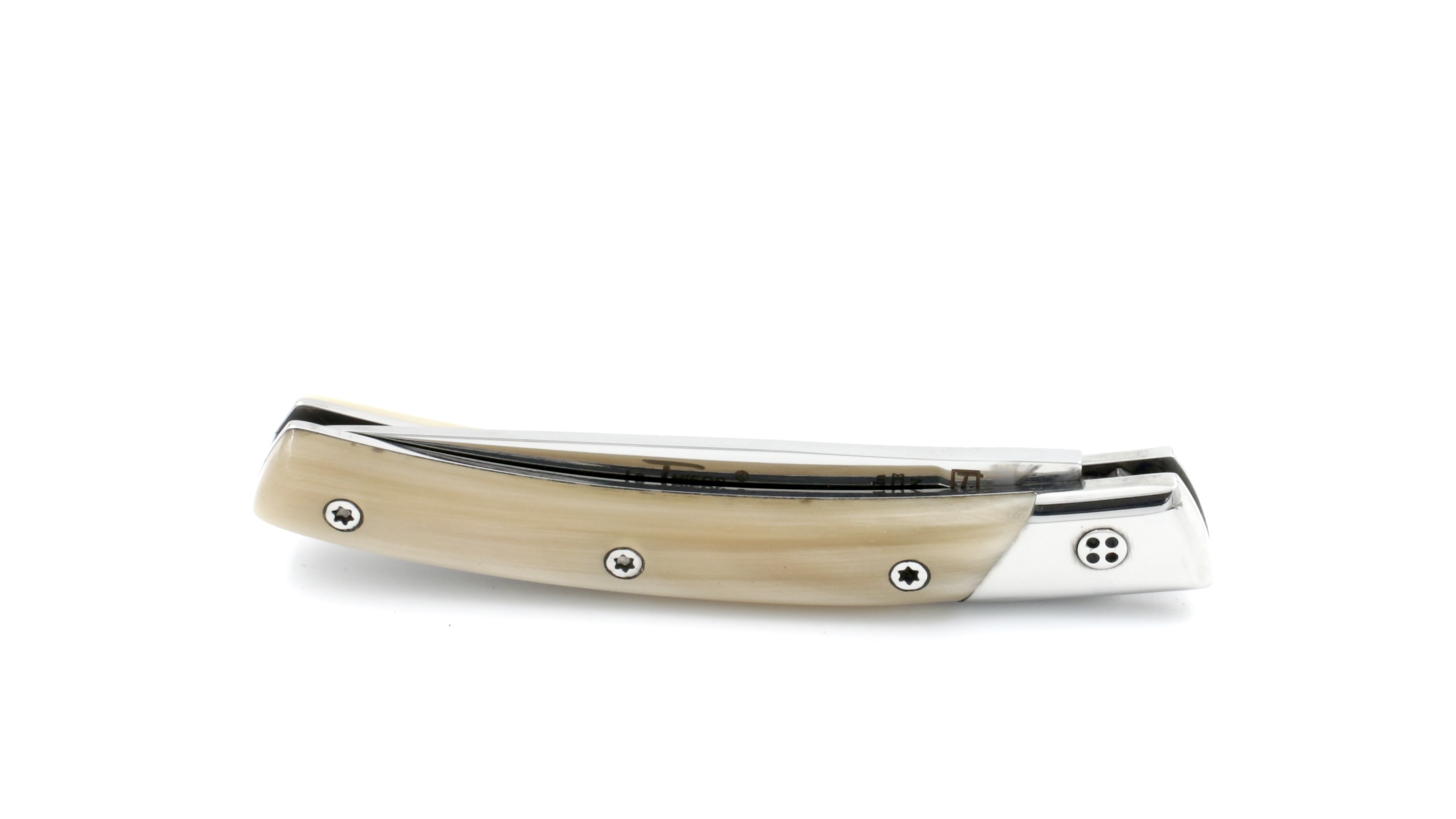 711B55A7-4D32-4031-9B9E-2FE204A25DA3_1_201_a Claude DOZORME Thiers SECRET horn tip chiseled plates