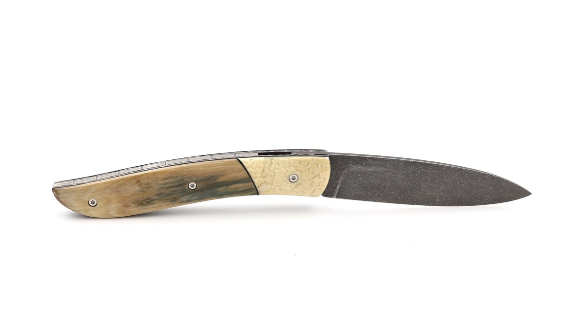 Tim Bernard  NÉVÉ mammoth ivory stabilized