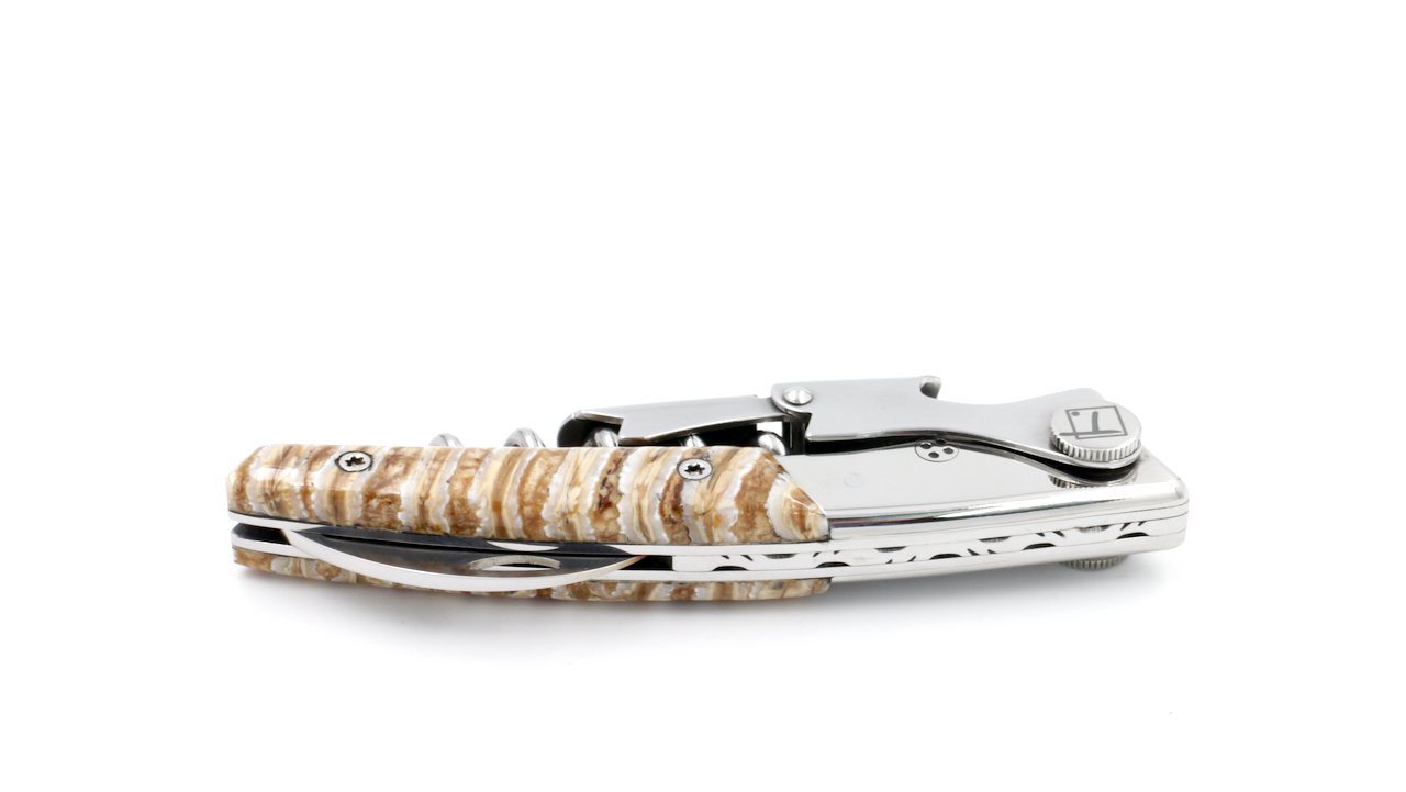 IMG_6796 Claude DOZORME Thiers Sommeliermesser LUX Mammutbackenzahn beige