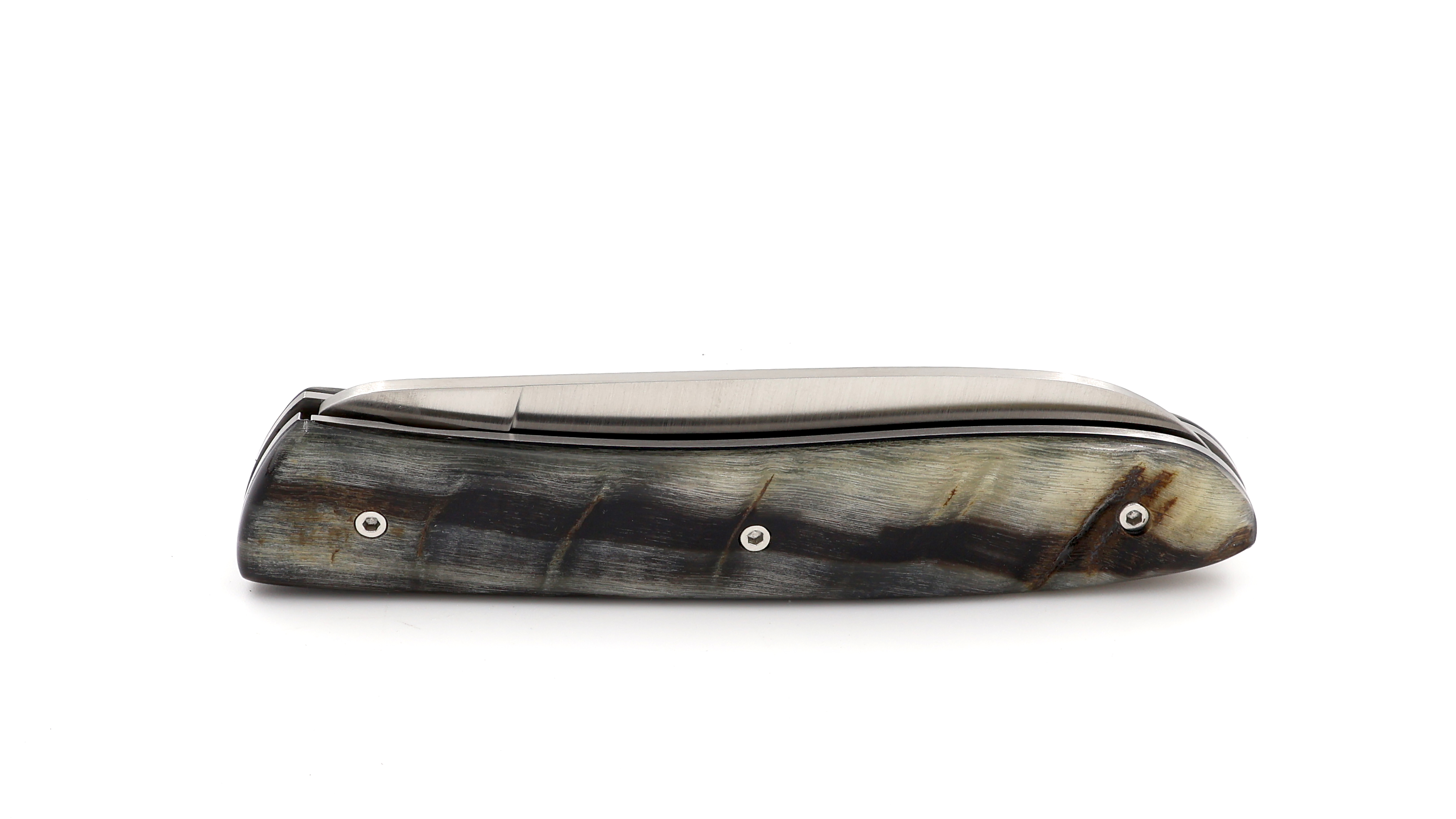 PERCEVAL L08 Widderhorn