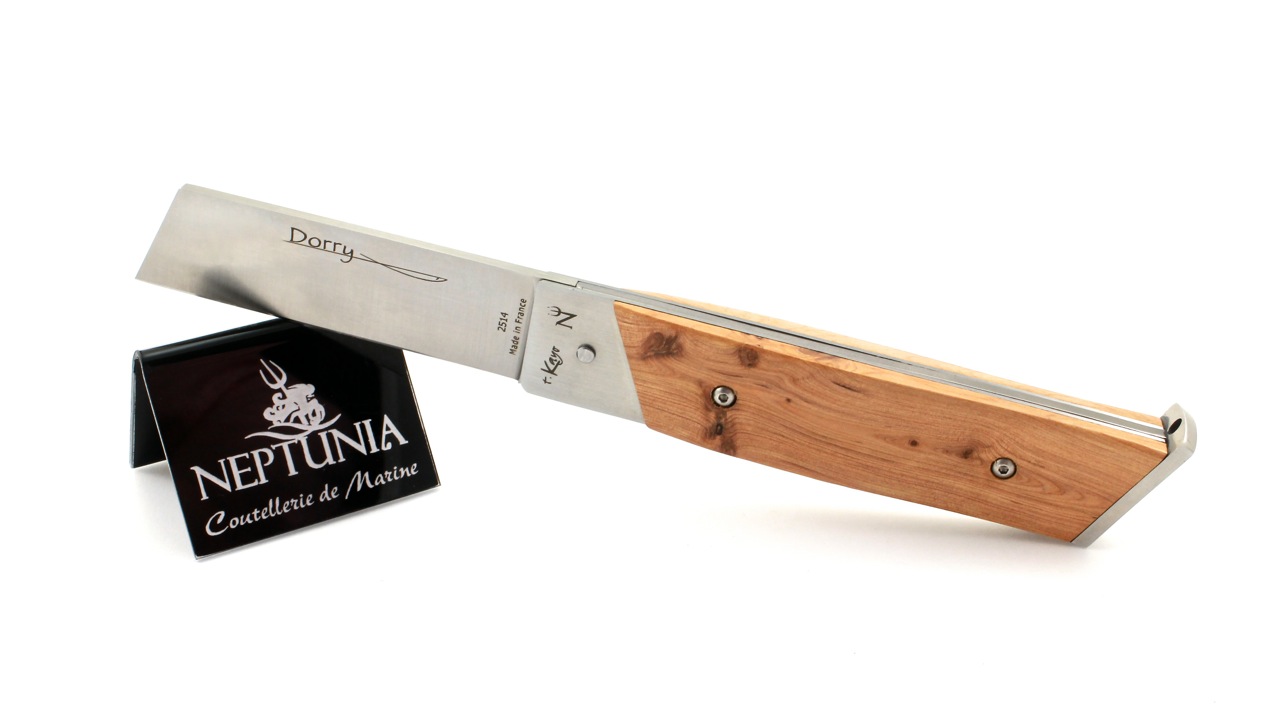 DORRY-12-cm-GEI-7 Neptunia Dorry Wacholder 12 cm