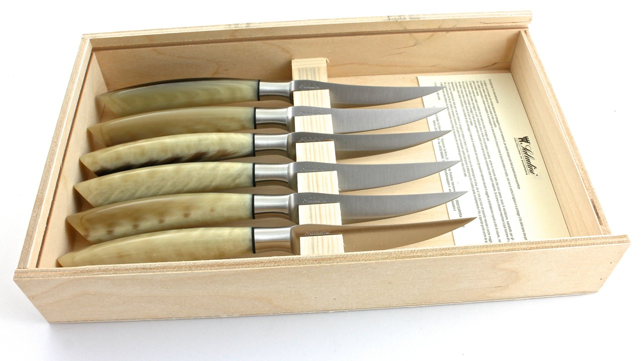 Saladini-Resin-6tlg-box Saladini steakknives resin scales set of 6