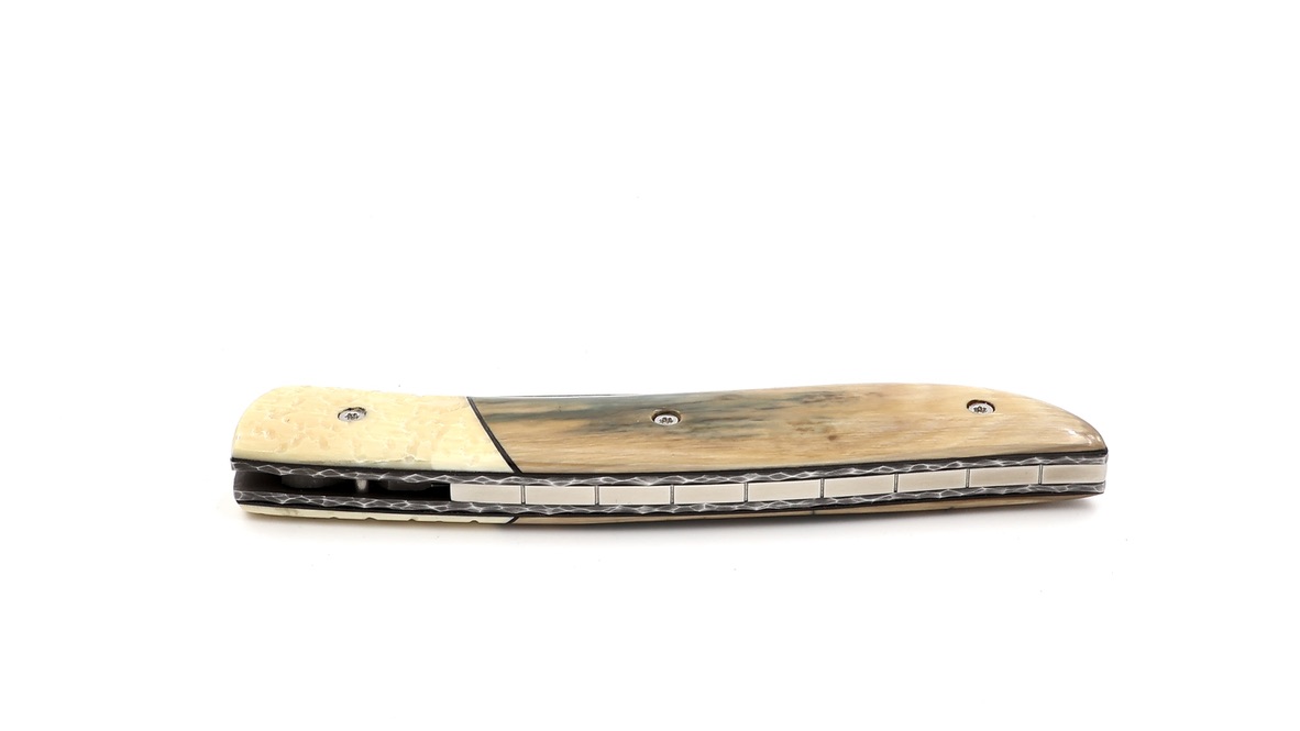 Tim Bernard  NÉVÉ mammoth ivory stabilized