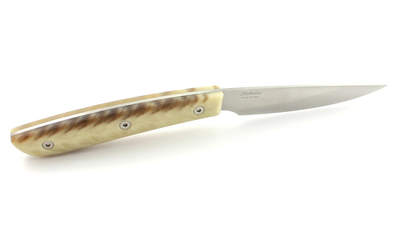 Saladini Steakmesser-Set 6-tlg. Sliced Resin