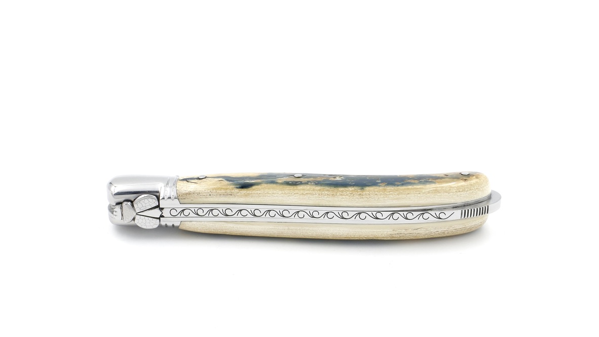 0B3CF859-A060-4BBF-8C5A-E7DE93F31213_1_105_c Fontenille Pataud Laguiole NATURE Exception blue mammoth ivory damascus blade 12 cm