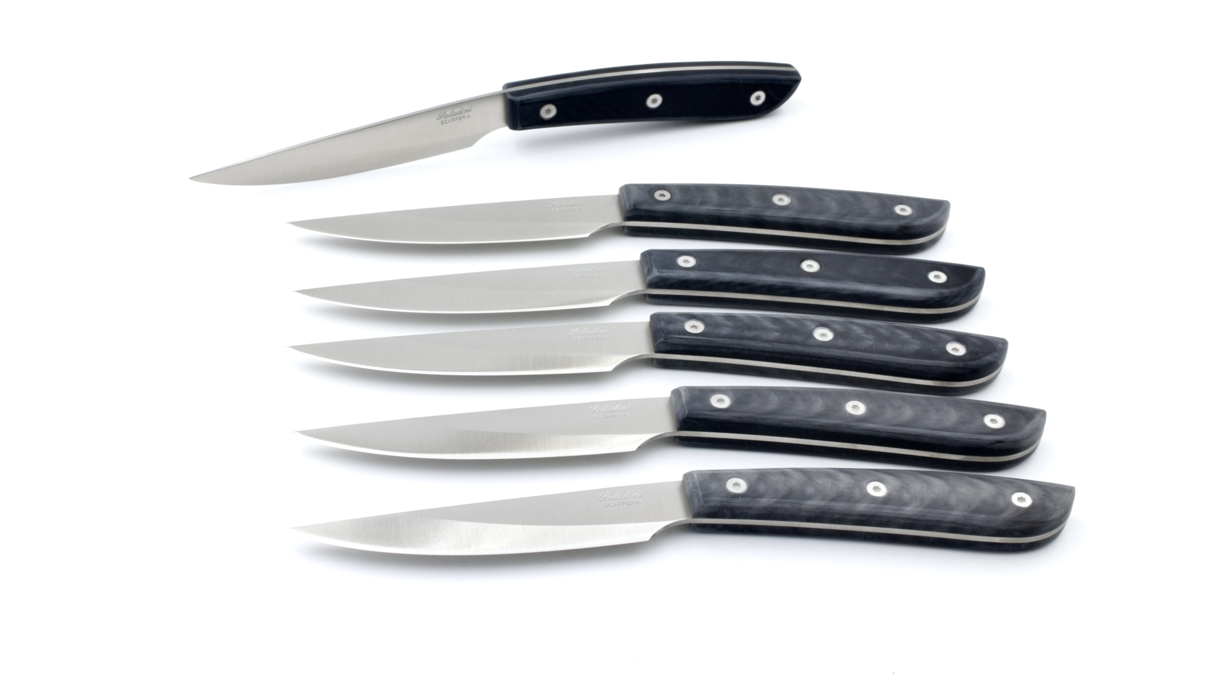 Saladini Steakmesser-Set 6-tlg. Sliced Resin schwarz