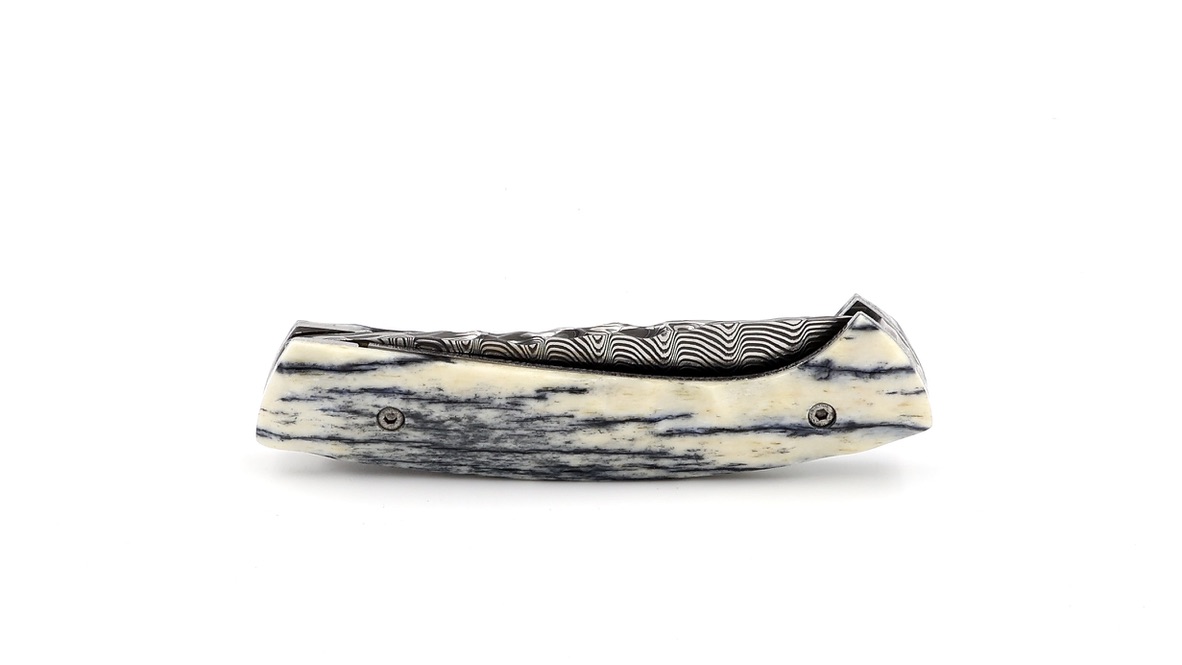 Manu LAPLACE 1515 PRIMITIVE bog oak damascus blade