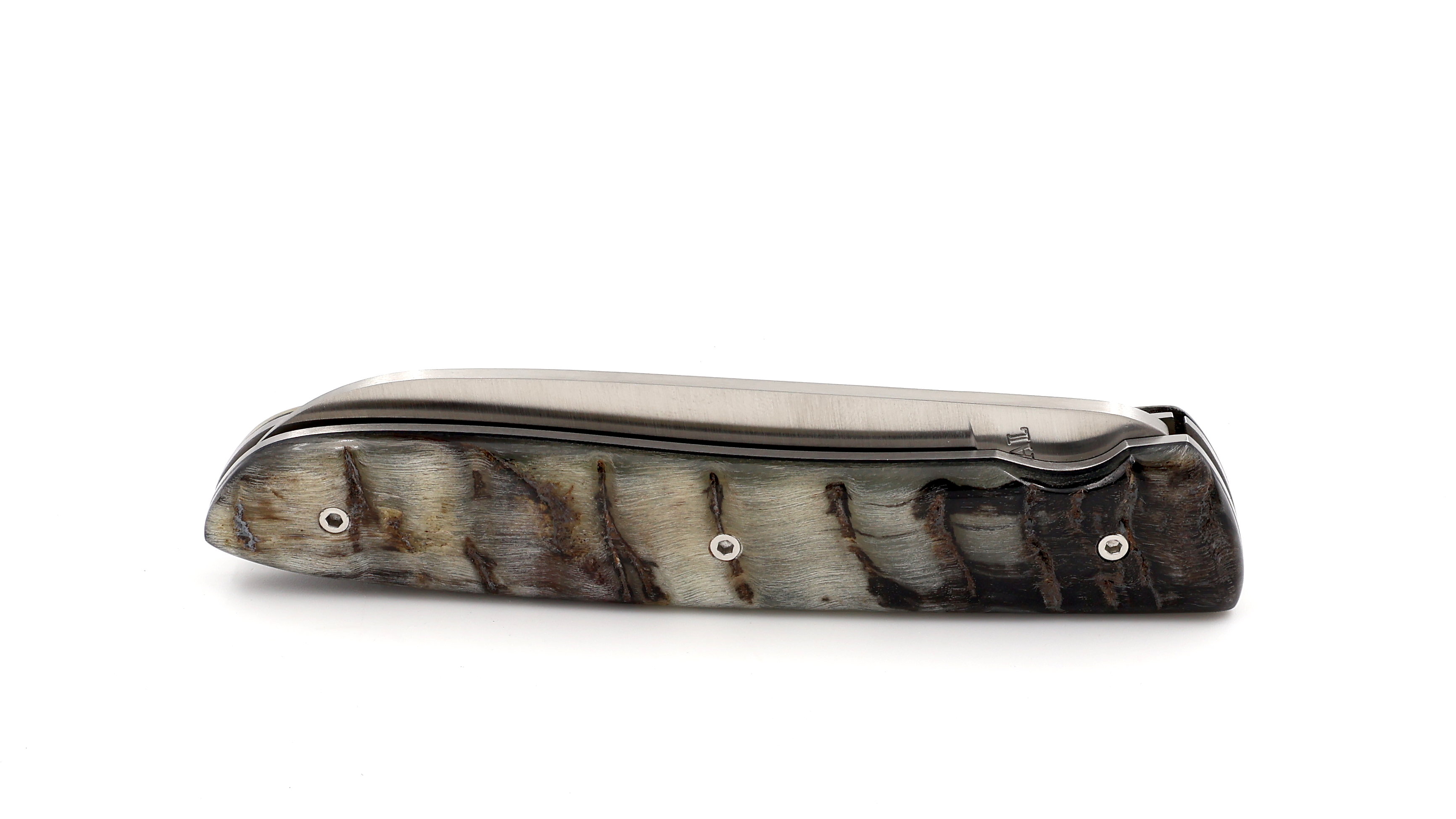 PERCEVAL L08 Widderhorn