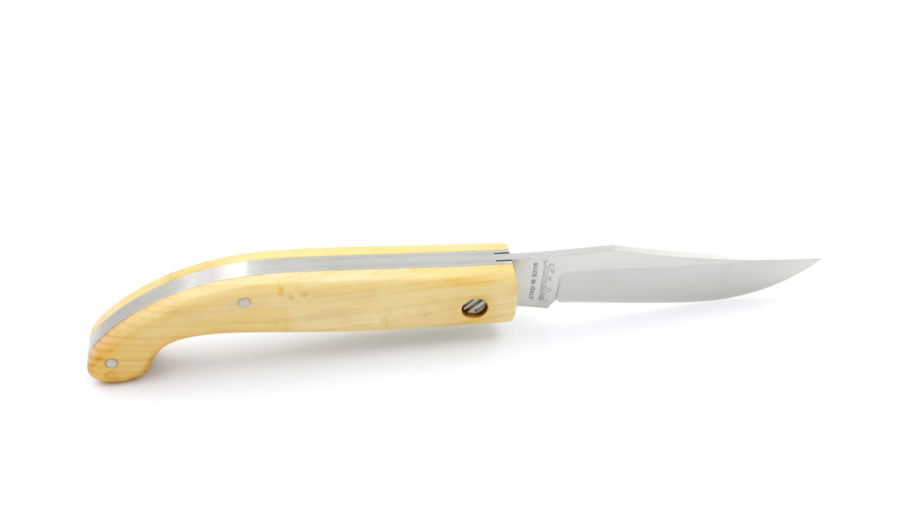 1034-BO-5 Saladini ZUAVA klein Buchs