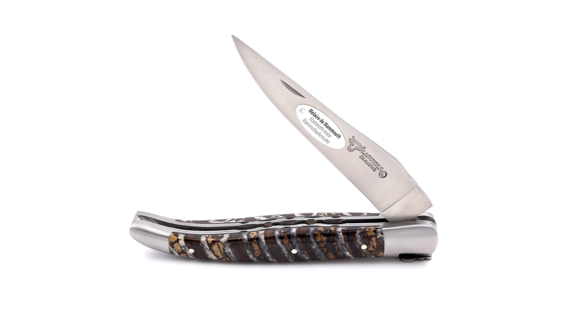 Laguiole en Aubrac double plate knife Mammoth blue/brown 12 cm